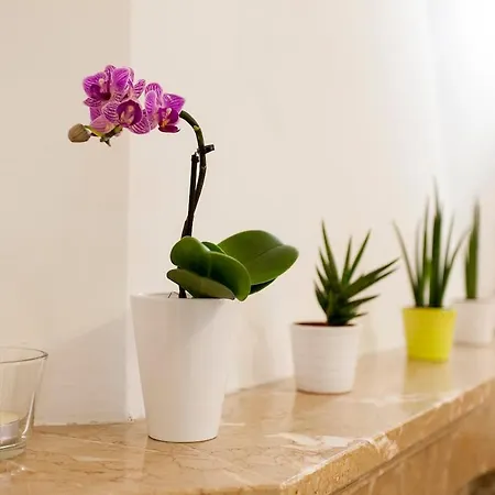 Pensjonat Ginjinha House - 4 - Bairro Alto - With Ac!